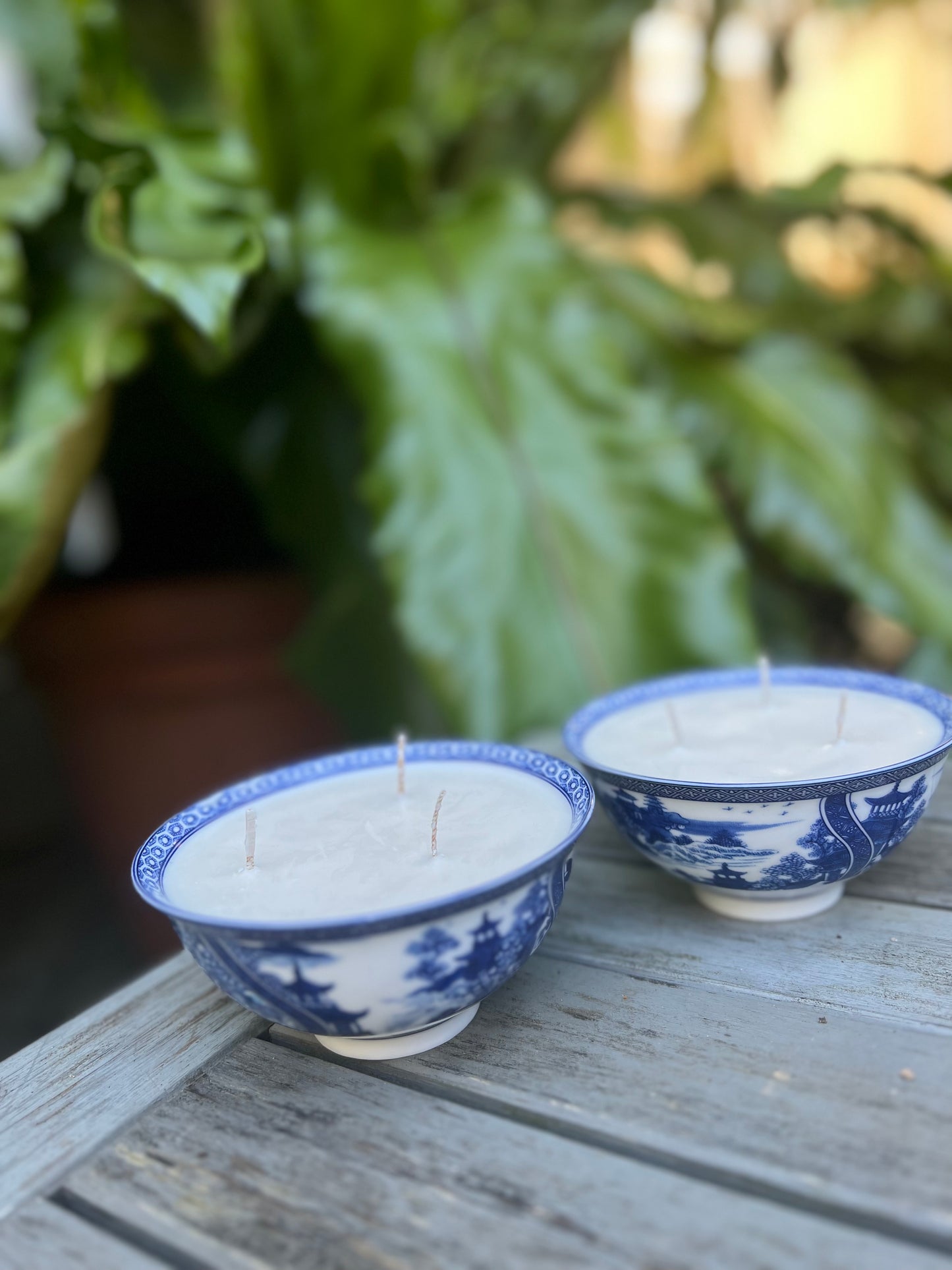 Pair of Botanical Gardens blue and white 3 wicks bowl candles