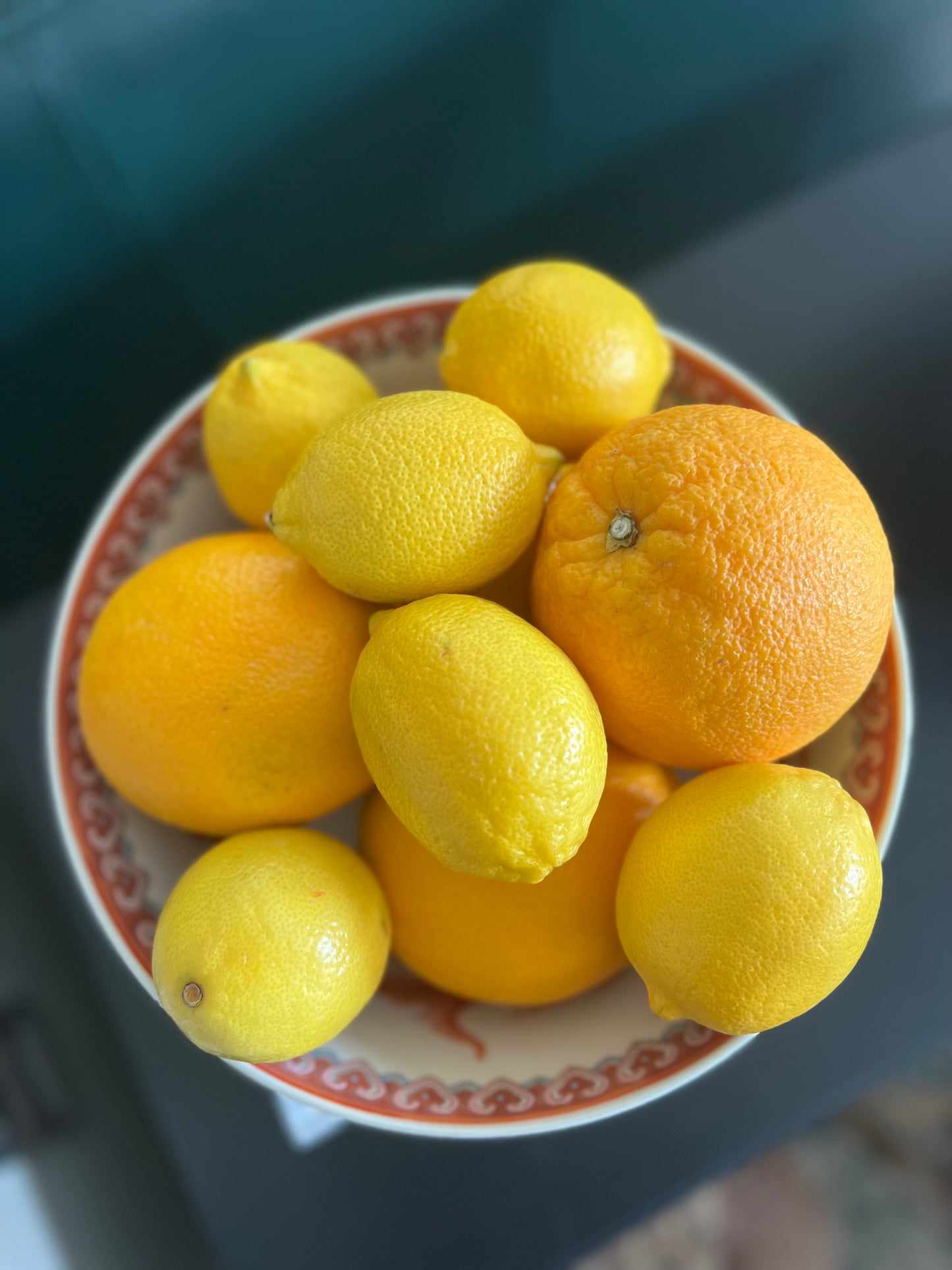 Red poppy fruit bowls